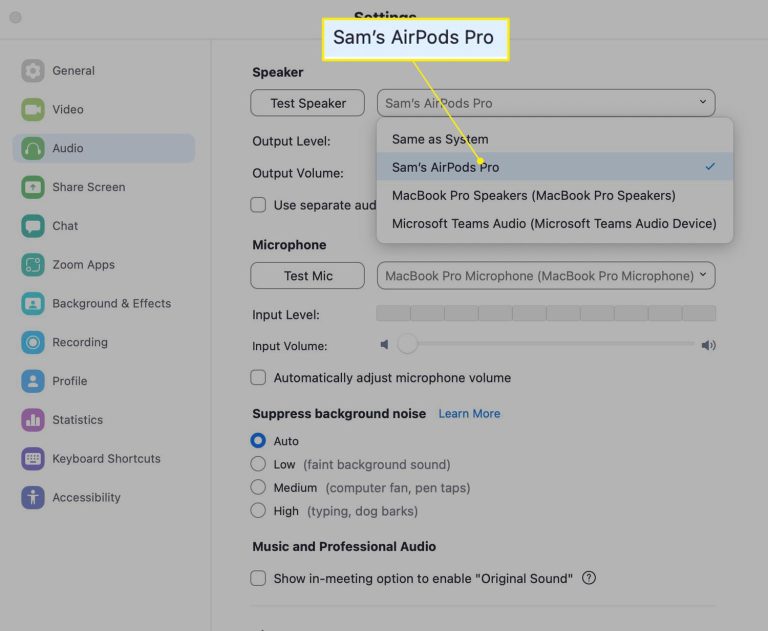 How to Connect Airpods to Zoom on Iphone?