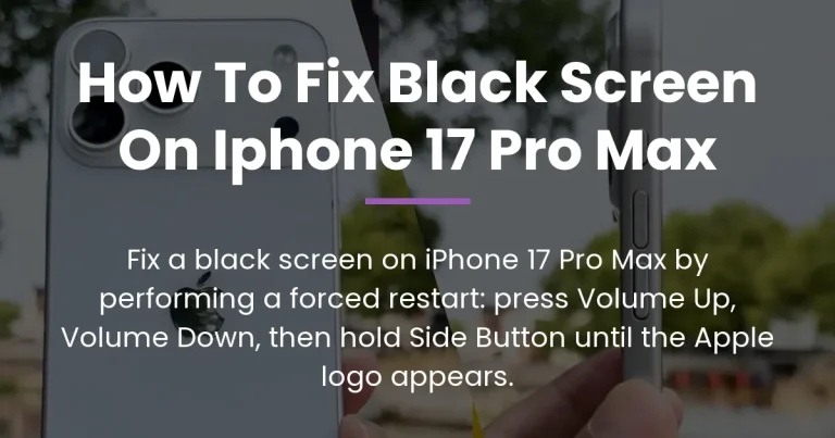 how to fix black screen on iphone 17 pro max